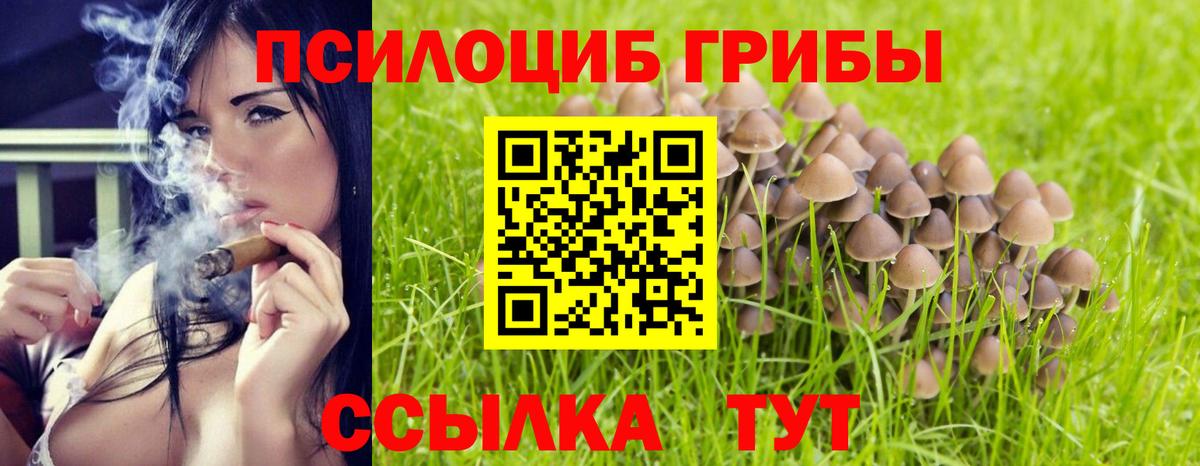 Псилоцибиновые грибы Psilocybine cubensis  Вход с VPN  Ивантеевка 
